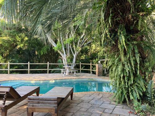 a swimming pool with two benches and a table at Cycasia Lodge in Umzumbe