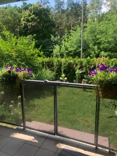 a fence in front of a garden with flowers at Apartament dwupokojowy in Gollnow