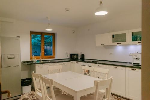 Kuchyň nebo kuchyňský kout v ubytování Chiba Chalet