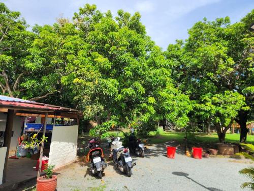 a group of motorcycles parked next to a tree at Le Soleil Kep - Surya Kep in Kep