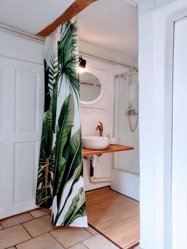 a bathroom with a white sink and a bathroom with a plant at Fachwerkstube in Witzenhausen