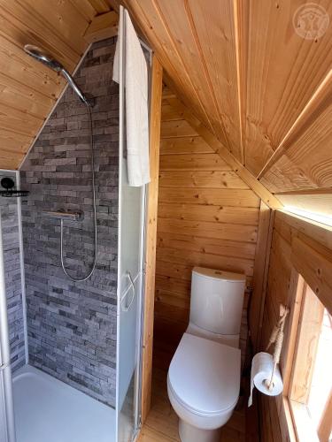 a small bathroom with a toilet and a shower at Les Cabanes du Grand Nord in Pradines