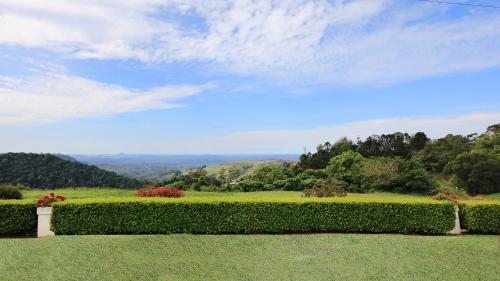 a hedge in front of a green field with trees at Maleny Views Motel in Maleny