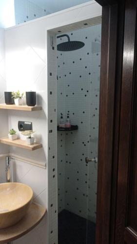 ein Badezimmer mit Glasdusche und Waschbecken in der Unterkunft LoftCalJoan in Deltebre