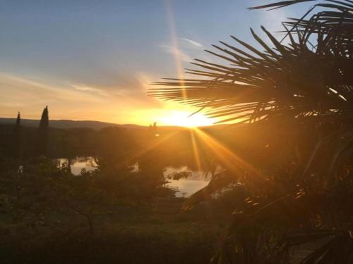 a sunset over a lake with a palm tree at Huge Holiday Home in Marina di Castagneto Carducci near Sea in Donoratico