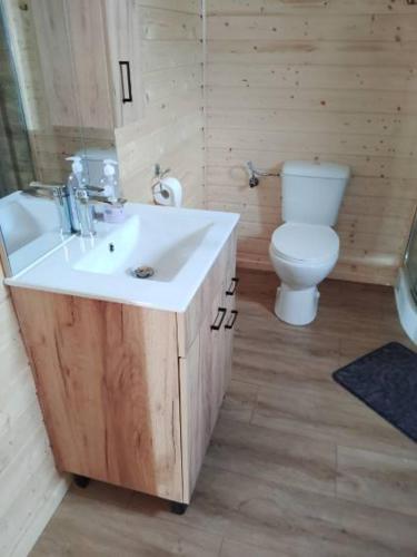 a bathroom with a sink and a toilet at Domki pod Klekotkiem in Smołdziński Las