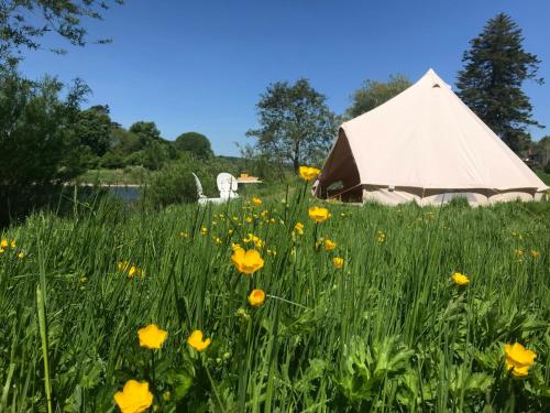 a yurt in the middle of a field of flowers at Aberllynfi Riverside Guest House in Glasbury