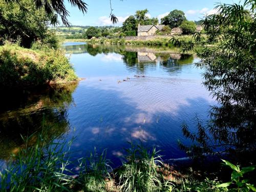 a river with a bunch of ducks in the water at Aberllynfi Riverside Guest House in Glasbury