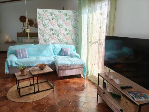 a living room with a couch and a flat screen tv at L'àtic dels flamencs in Sant Jaume d'Enveja