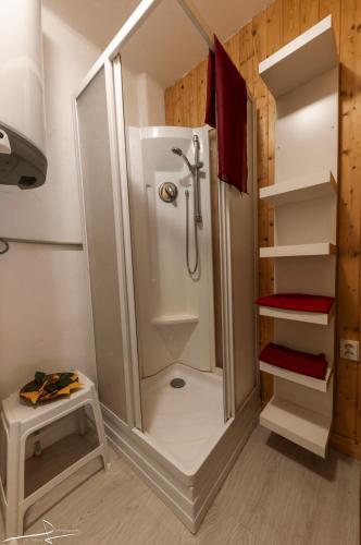 a shower in a small bathroom with a toilet at Kemp Oparno, bezvakempy 