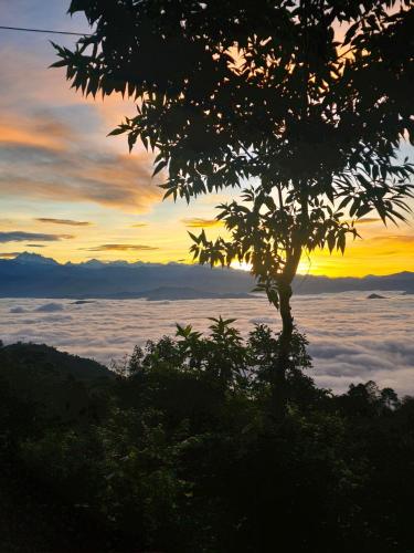 a tree with a view of the sky with clouds at Entire Cozy Studio Cabin At Peaceful Nagarkot Hill in Nagarkot