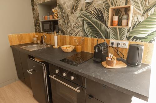 a kitchen with a sink and a counter top at Triplex Jungle Family in Sorgues