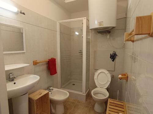 ein Badezimmer mit Toilette, Waschbecken und Dusche in der Unterkunft Studio charmant 4 pers, vue montagnes, parking inclus - FR-1-445-206 in Montgenèvre