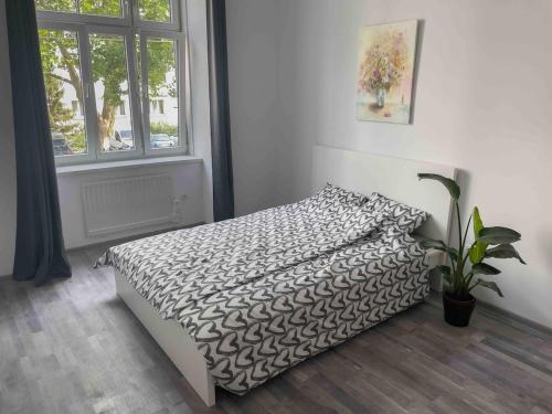 Central Station Cosy Studio