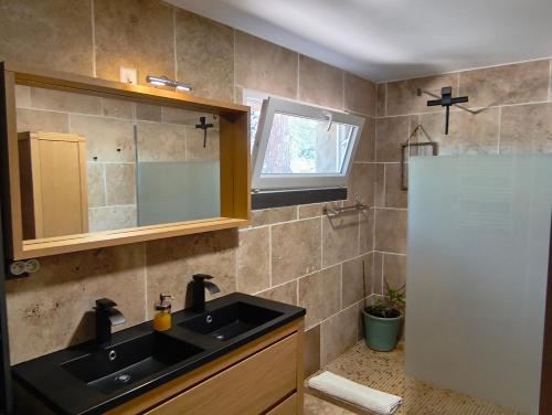 a bathroom with a sink and a mirror at "Le Mas" Les jardins de Tourneige in Maraussan