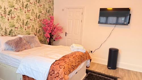 a bedroom with a bed and a tv on the wall at Panthea Home in Barkingside