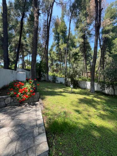 Gambar di galeri bagi Villa Angie di Sani Beach