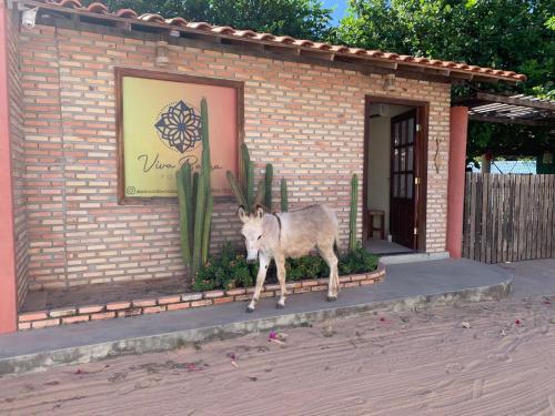 Binatang di rumah tamu ini atau berdekatan