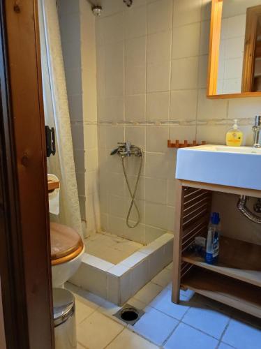 a bathroom with a shower and a toilet and a sink at Villa Aretousa in Palaios Agios Athanasios