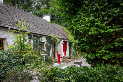 a small white cottage with a red door at Moore's Cottage in Birr