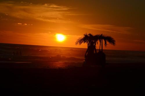 a sunset on the beach with a palm tree at La Brújula Hostel in La Paloma