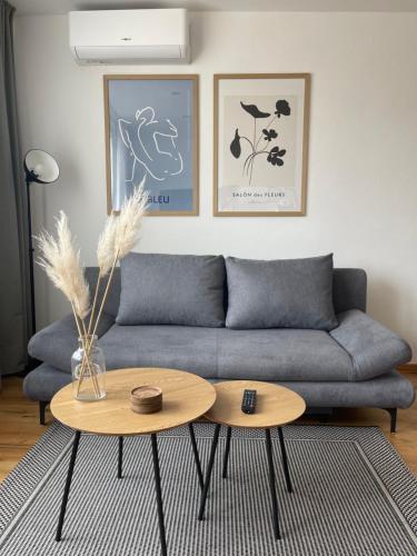 a living room with a couch and a table at Wohnung in Graz mit Klima SOVA 3 in Graz