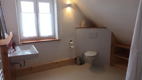 un bagno con lavandino, water e finestra di Ferienhaus Hoher Vogelsberg a Herbstein
