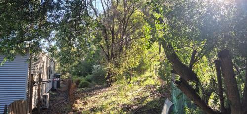 a yard with trees and a fence next to a house at Warren Retreat - cozy and tranquil 2 brm home in Nannup