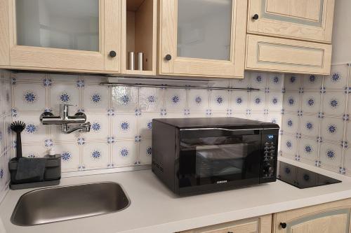 eine Küche mit Mikrowelle und Spüle in der Unterkunft Magic Home in Ceriale