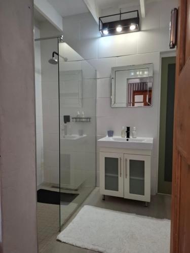 a bathroom with a sink and a glass shower at The Vineyard Country House in Montagu