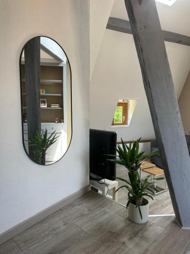 Televiisor ja/või meelelahutuskeskus majutusasutuses Charmant appartement intra-muros