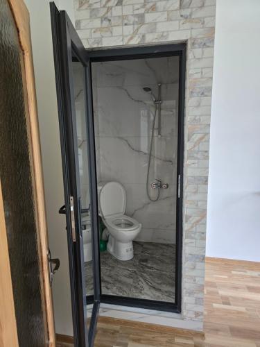 ein Bad mit einem WC und einer Glastür in der Unterkunft Korpusi in Kobuleti