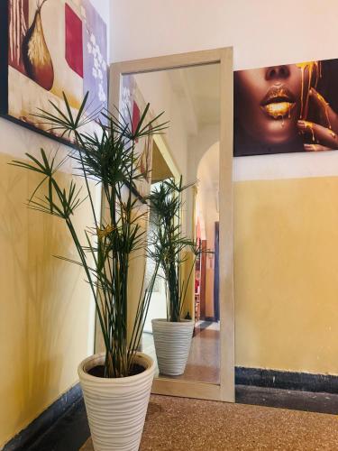 two potted plants sitting on a shelf next to a mirror at Le belvédère in Casablanca