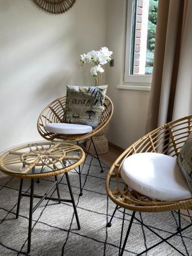 two chairs and a table in a room at Apartments Aura & Nova in Aue-Bad Schlema