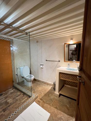 a bathroom with a toilet and a sink and a shower at Medina social club in Fès