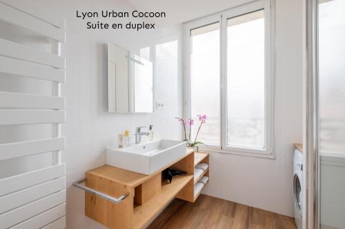 a bathroom with a sink and a mirror at Lyon Urban Cocoon Gîte urbain eco-responsable in Lyon
