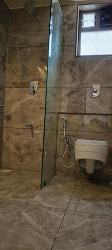 a bathroom with a toilet and a shower at Hotel Shlok Inn in Somnath