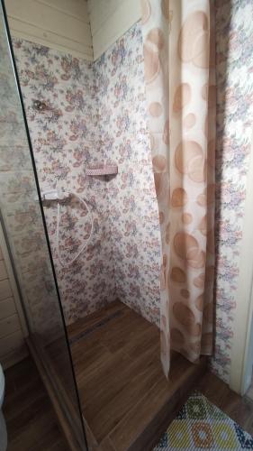 una ducha con puerta de cristal en un baño en Family, en Chornomorsk
