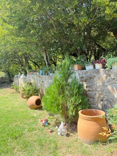 Jardín al aire libre en House Kvali