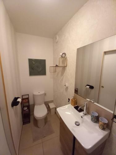 a bathroom with a toilet and a sink and a mirror at Couettes et Mouettes in Lampaul-Plouarzel
