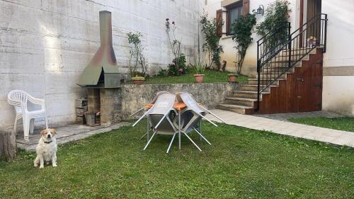 a dog standing next to two chairs and a table at Retaetxe in Orbaiceta