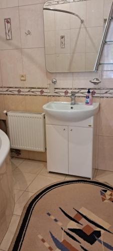 a bathroom with a sink and a mirror and a rug at Двохкімнатні апартаменти в центрі міста in Chernivtsi
