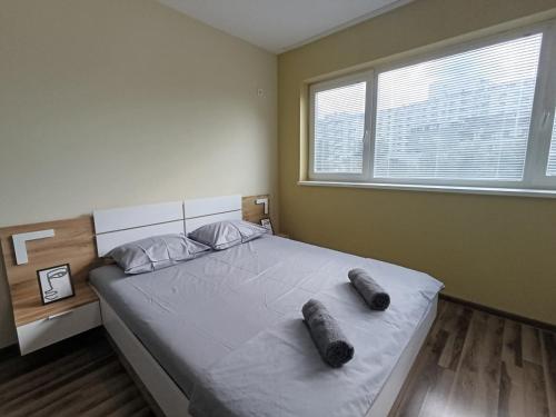 20th Residence Studio 1