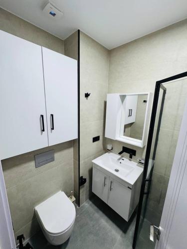 a bathroom with a toilet and a sink and a mirror at Cozy Apartments with nice view in Itʼkhvisi