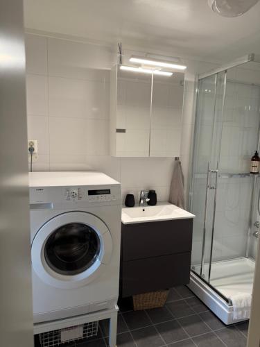 a bathroom with a washing machine and a sink at Sentral og koselig leilighet in Tromsø
