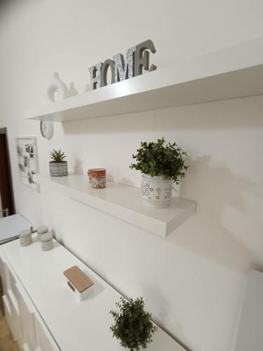 a white kitchen with white shelves and potted plants at A casa di Irene in Le Marmore