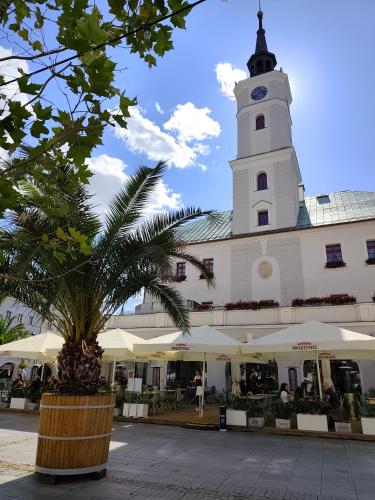 a building with a clock tower with a palm tree in front at Apartament Gliwice Centrum in Gliwice