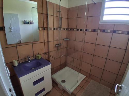 a bathroom with a sink and a shower with a mirror at Belle Villa 3 chambres piscine Rivière Salée in Rivière-Salée