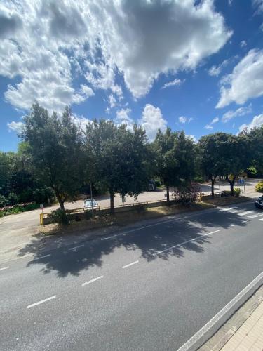 an empty street with trees on the side of the road at Trotto e Galoppo Rooms in Arezzo