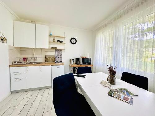 Cuisine ou kitchenette dans l'établissement Apartments Celopek